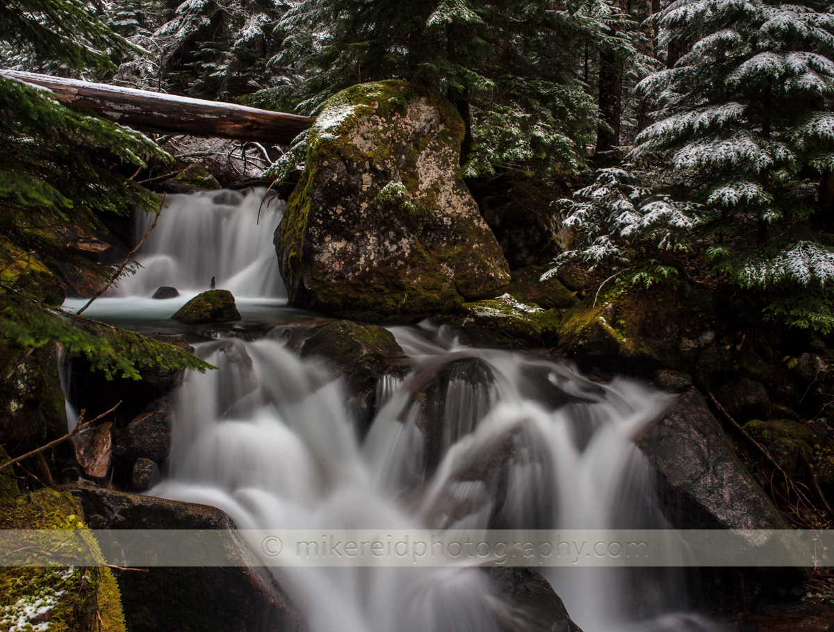 Rainier Waterfalls